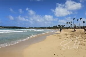 View of Playa Macao